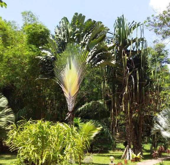 חדר סטנדרט עם מיטת קינג, Beautiful Flower Resort