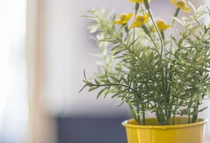 Семейный Номер, Trankil Apparts Centre