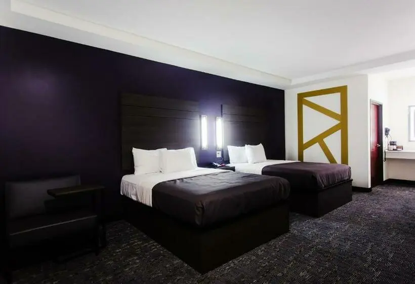 スタンダードルーム, Palacio Royale Inn Boutique Katy