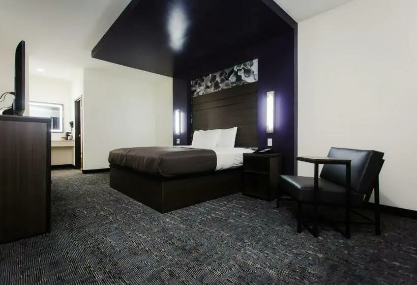 キングサイズベッドのスタンダードルーム, Palacio Royale Inn Boutique Katy
