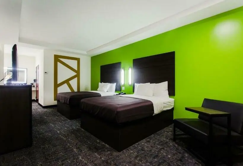 身障者適用スタンダードルーム, Palacio Royale Inn Boutique Katy