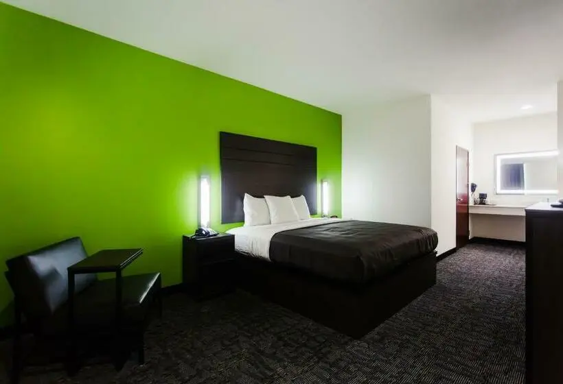 身障者適用キングサイズベッドルーム, Palacio Royale Inn Boutique Katy