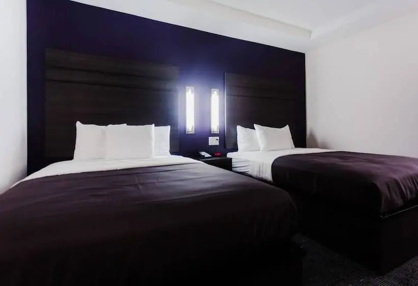 デラックスルーム, Palacio Royale Inn Boutique Katy