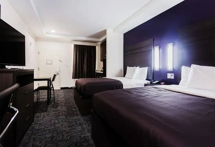 デラックスルーム, Palacio Royale Inn Boutique Katy