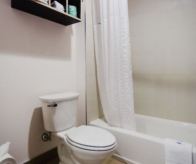 اتاق لوکس, Palacio Royale Inn Boutique Katy