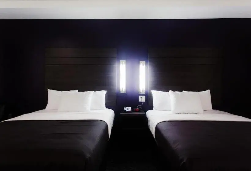 スタンダードルーム, Palacio Royale Inn Boutique Katy