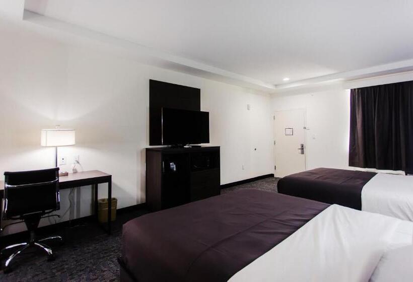 اتاق استاندارد, Palacio Royale Inn Boutique Katy