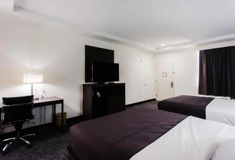スタンダードルーム, Palacio Royale Inn Boutique Katy
