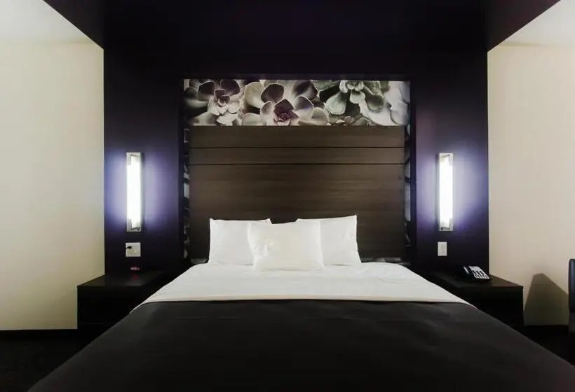 キングサイズベッドのスタンダードルーム, Palacio Royale Inn Boutique Katy