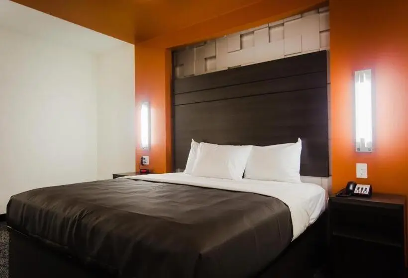 キングサイズベッドのスタンダードルーム, Palacio Royale Inn Boutique Katy