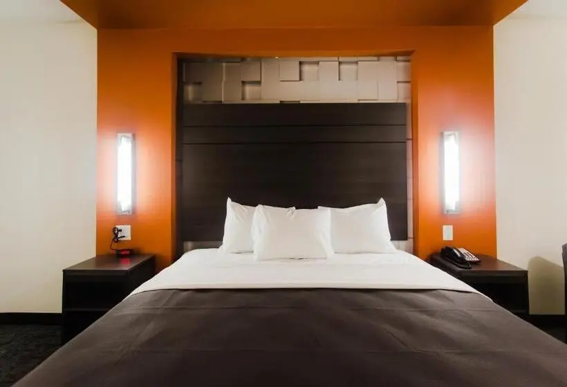 キングサイズベッドのスタンダードルーム, Palacio Royale Inn Boutique Katy