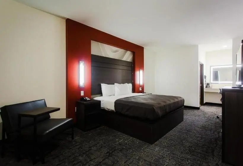 キングサイズベッドのスタンダードルーム, Palacio Royale Inn Boutique Katy