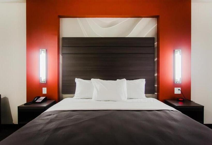 اتاق استاندارد با تخت بزرگ, Palacio Royale Inn Boutique Katy