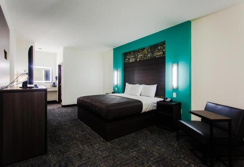 اتاق استاندارد با تخت بزرگ, Palacio Royale Inn Boutique Katy