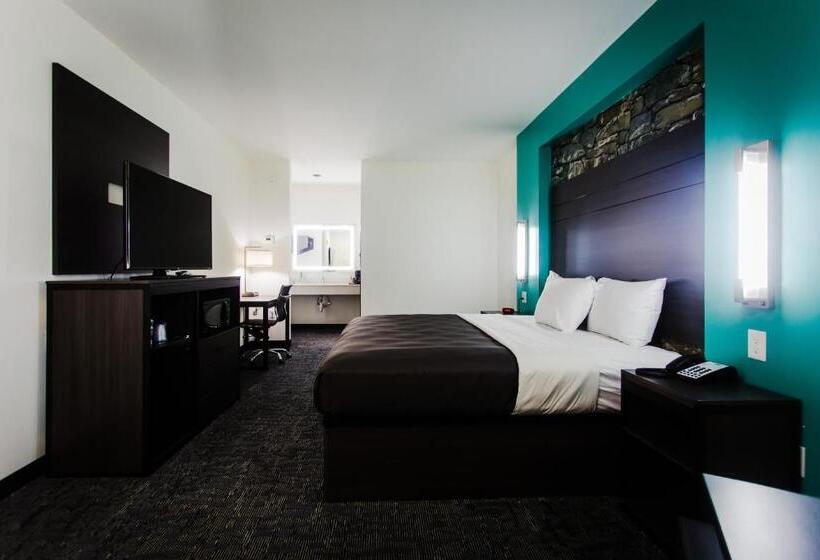 اتاق استاندارد با تخت بزرگ, Palacio Royale Inn Boutique Katy