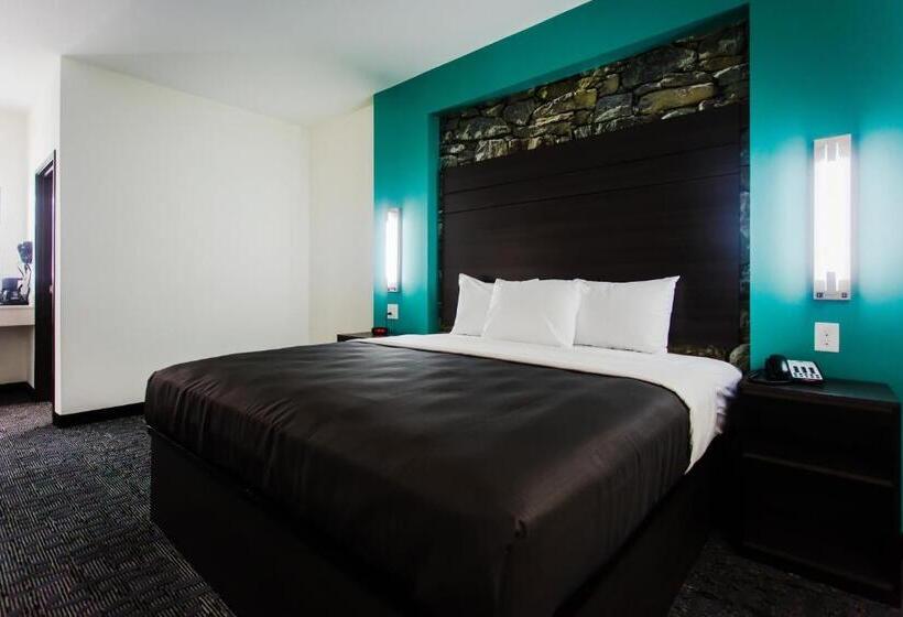 اتاق استاندارد با تخت بزرگ, Palacio Royale Inn Boutique Katy