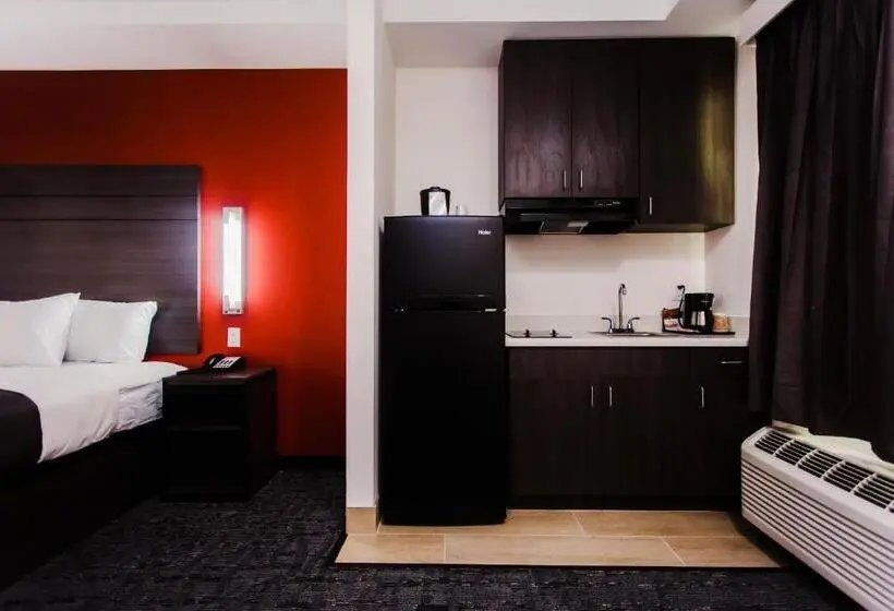 キングサイズベッドのデラックスルーム, Palacio Royale Inn Boutique Katy