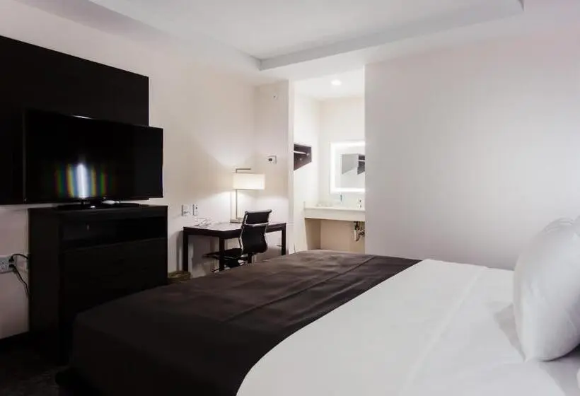キングサイズベッドのデラックスルーム, Palacio Royale Inn Boutique Katy