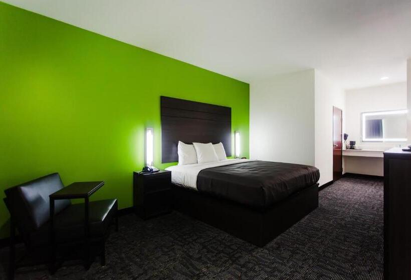 اتاق لوکس با تخت بزرگ, Palacio Royale Inn Boutique Katy