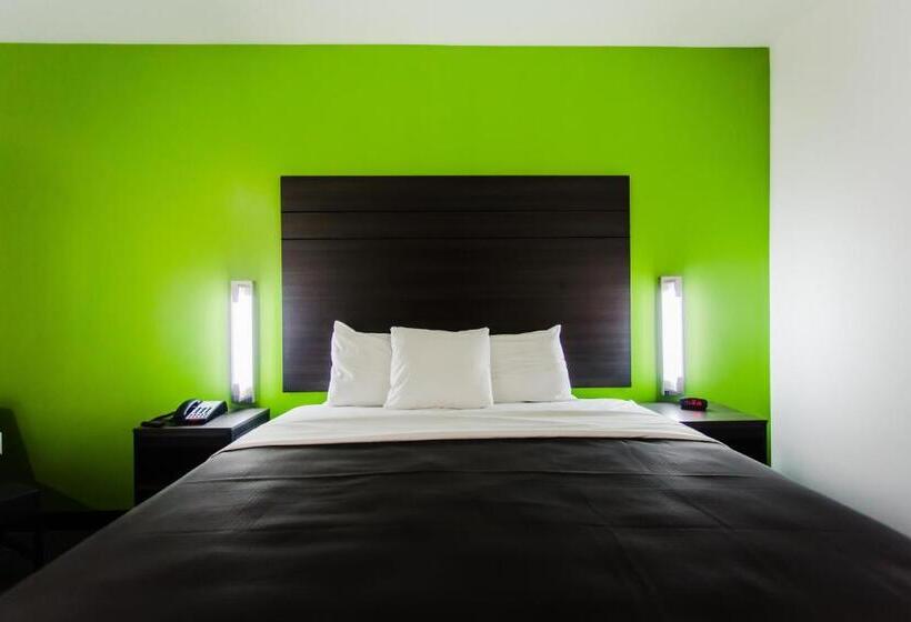 اتاق لوکس با تخت بزرگ, Palacio Royale Inn Boutique Katy