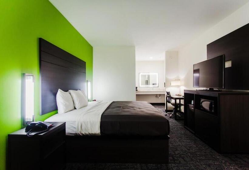 اتاق لوکس با تخت بزرگ, Palacio Royale Inn Boutique Katy