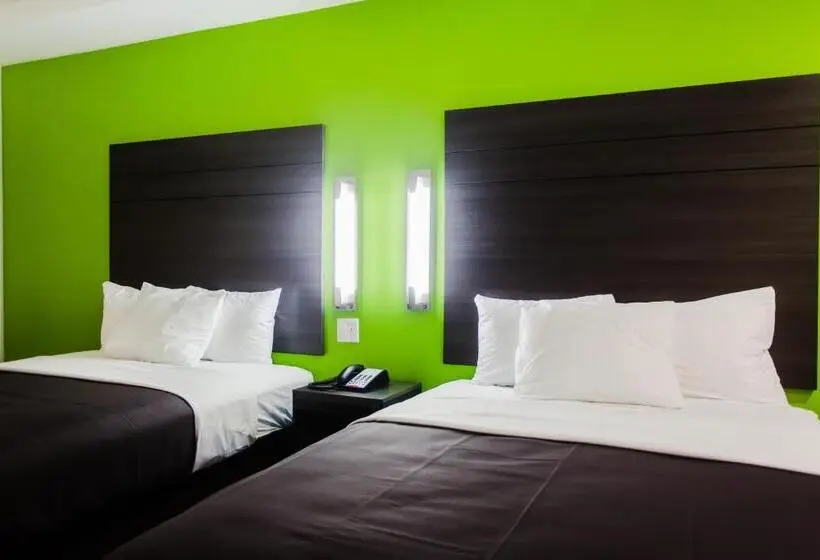 身障者適用スタンダードルーム, Palacio Royale Inn Boutique Katy