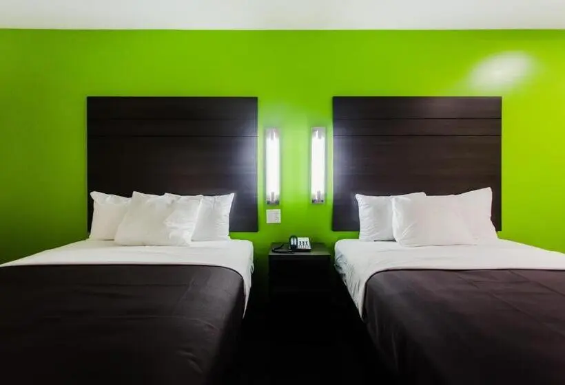 身障者適用スタンダードルーム, Palacio Royale Inn Boutique Katy