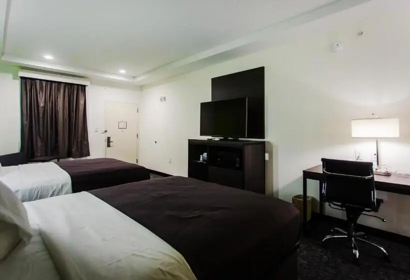 身障者適用スタンダードルーム, Palacio Royale Inn Boutique Katy