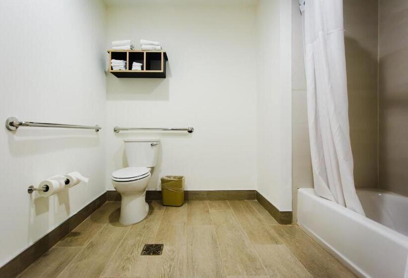 اتاق استاندارد برای معلولان, Palacio Royale Inn Boutique Katy