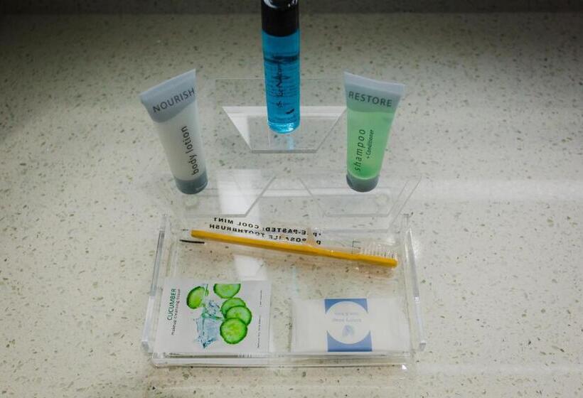 اتاق استاندارد برای معلولان, Palacio Royale Inn Boutique Katy