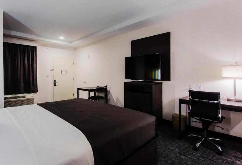 اتاق استاندارد برای معلولان, Palacio Royale Inn Boutique Katy