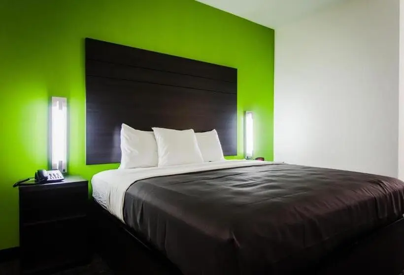 身障者適用キングサイズベッドルーム, Palacio Royale Inn Boutique Katy