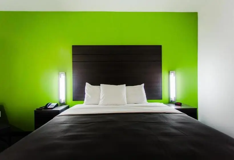 身障者適用キングサイズベッドルーム, Palacio Royale Inn Boutique Katy