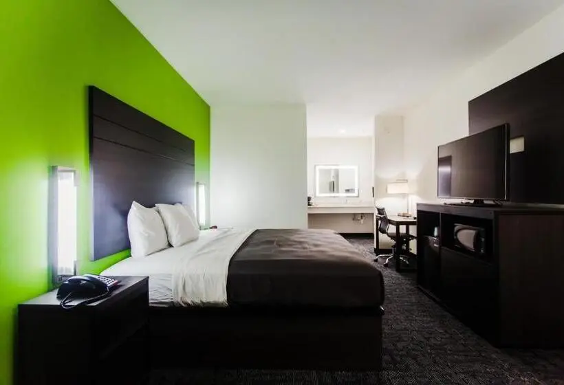 身障者適用キングサイズベッドルーム, Palacio Royale Inn Boutique Katy