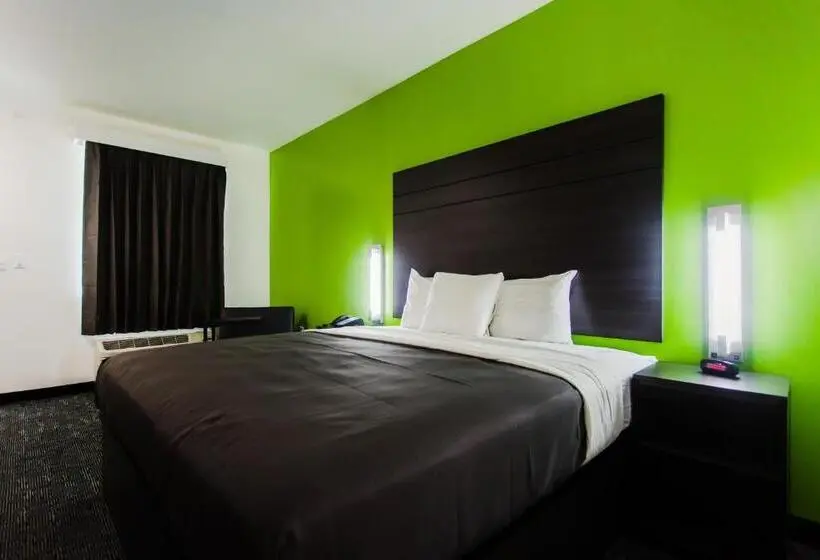 身障者適用キングサイズベッドルーム, Palacio Royale Inn Boutique Katy