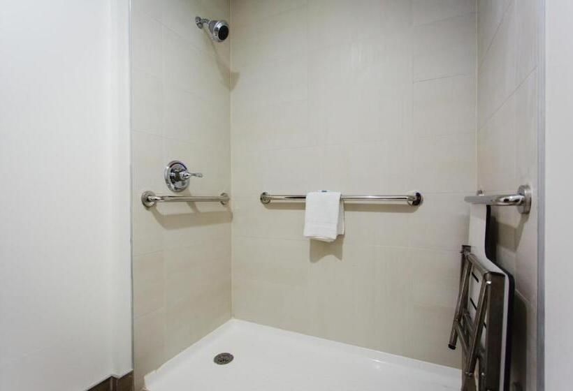 اتاق استاندارد با تخت بزرگ برای معلولان, Palacio Royale Inn Boutique Katy