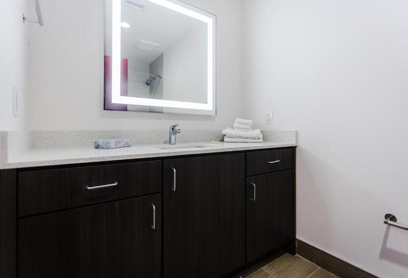 آپارتمان 2 خوابه, Palacio Royale Inn Boutique Katy