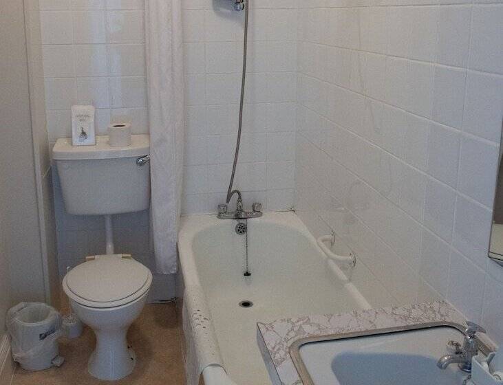 패밀리 룸, Royal Lion