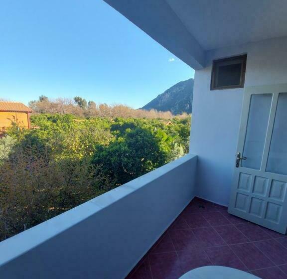 ファミリールーム, Palm Konak