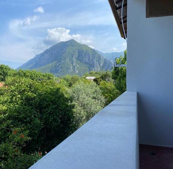 ファミリールーム, Palm Konak