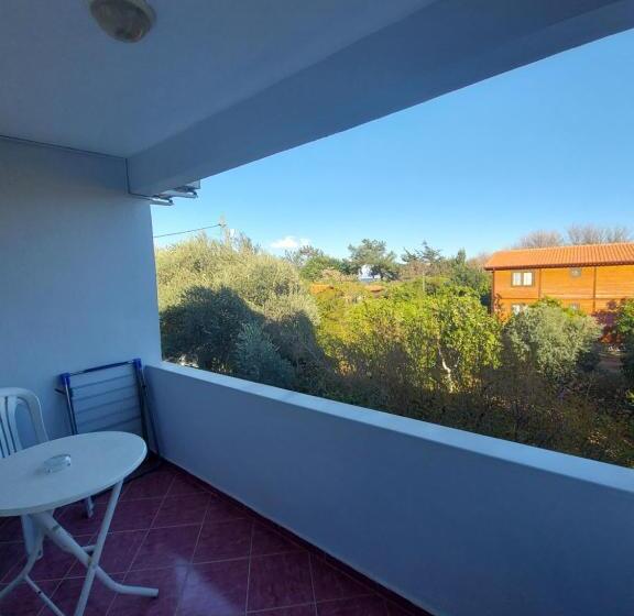 ファミリールーム, Palm Konak