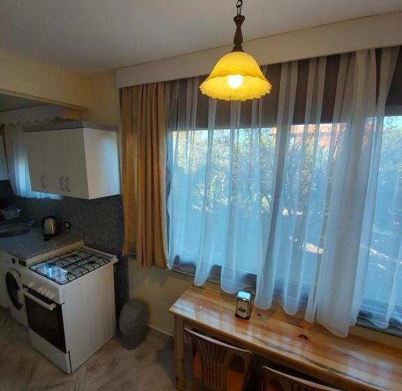 庭の見える１ベッドルームアパートメント, Palm Konak