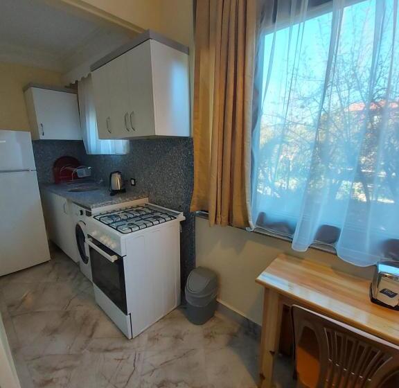 庭の見える１ベッドルームアパートメント, Palm Konak