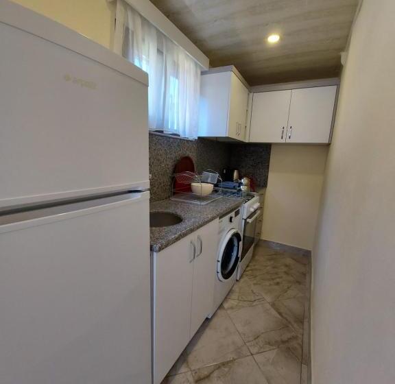 バルコニー付き１ベッドルームアパートメント, Palm Konak