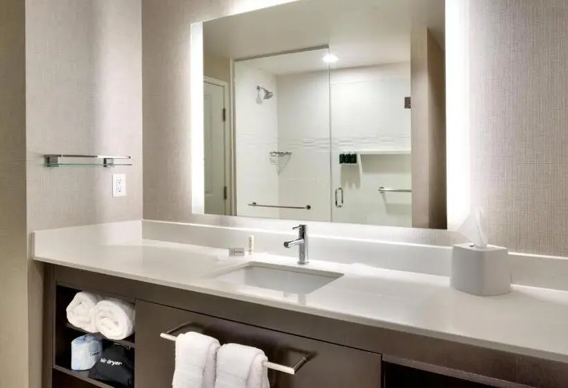 سوئیت با تخت بزرگ, Residence Inn By Marriott Provo South University