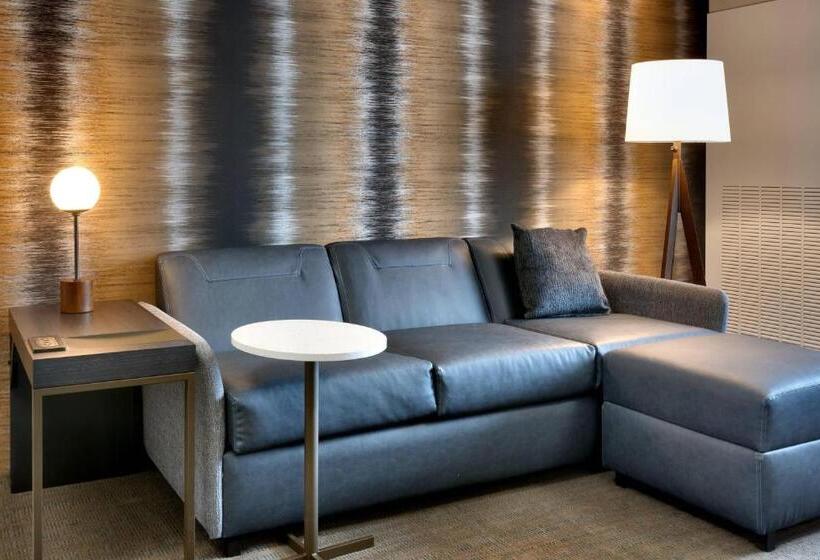 Люкс Кровать Квин, Residence Inn By Marriott Provo South University