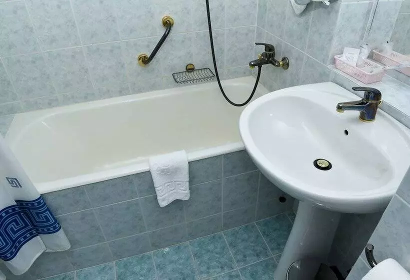 اتاق سوپریور یک تخته, Carpati Hotel Baia Mare