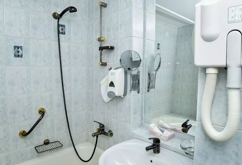 اتاق سوپریور یک تخته, Carpati Hotel Baia Mare