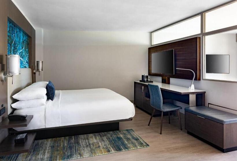 استودیو استاندارد با تخت کینگ, San Juan Marriott Resort And Stellaris Casino