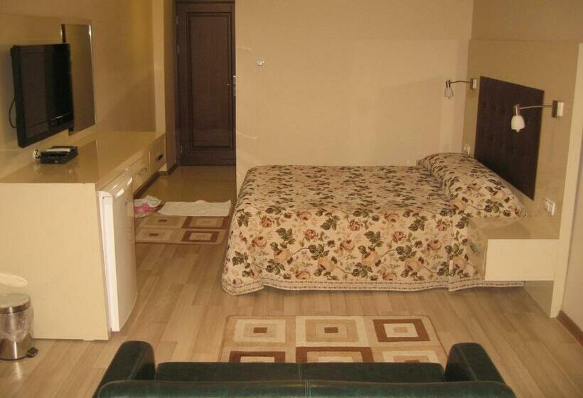 اتاق استاندارد, Termal Elit